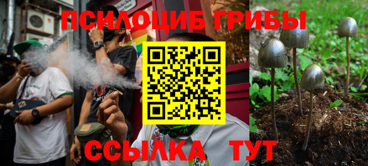 Псилоцибиновые грибы ЛСД Майский