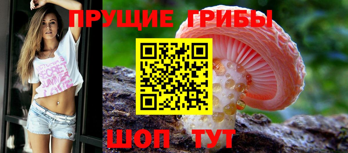 Галлюциногенные грибы прущие грибы  Галлюциногенные грибы прущие грибы  Майский  Вход с VPN 