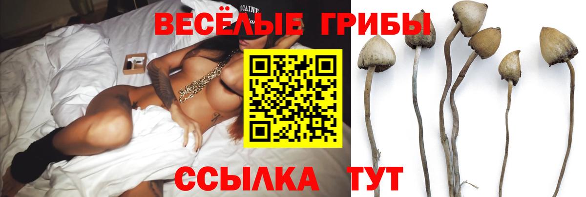 Майский  Вход с VPN  Кокаин  Экстази  МЕФ кристаллы  МАРИХУАНА 